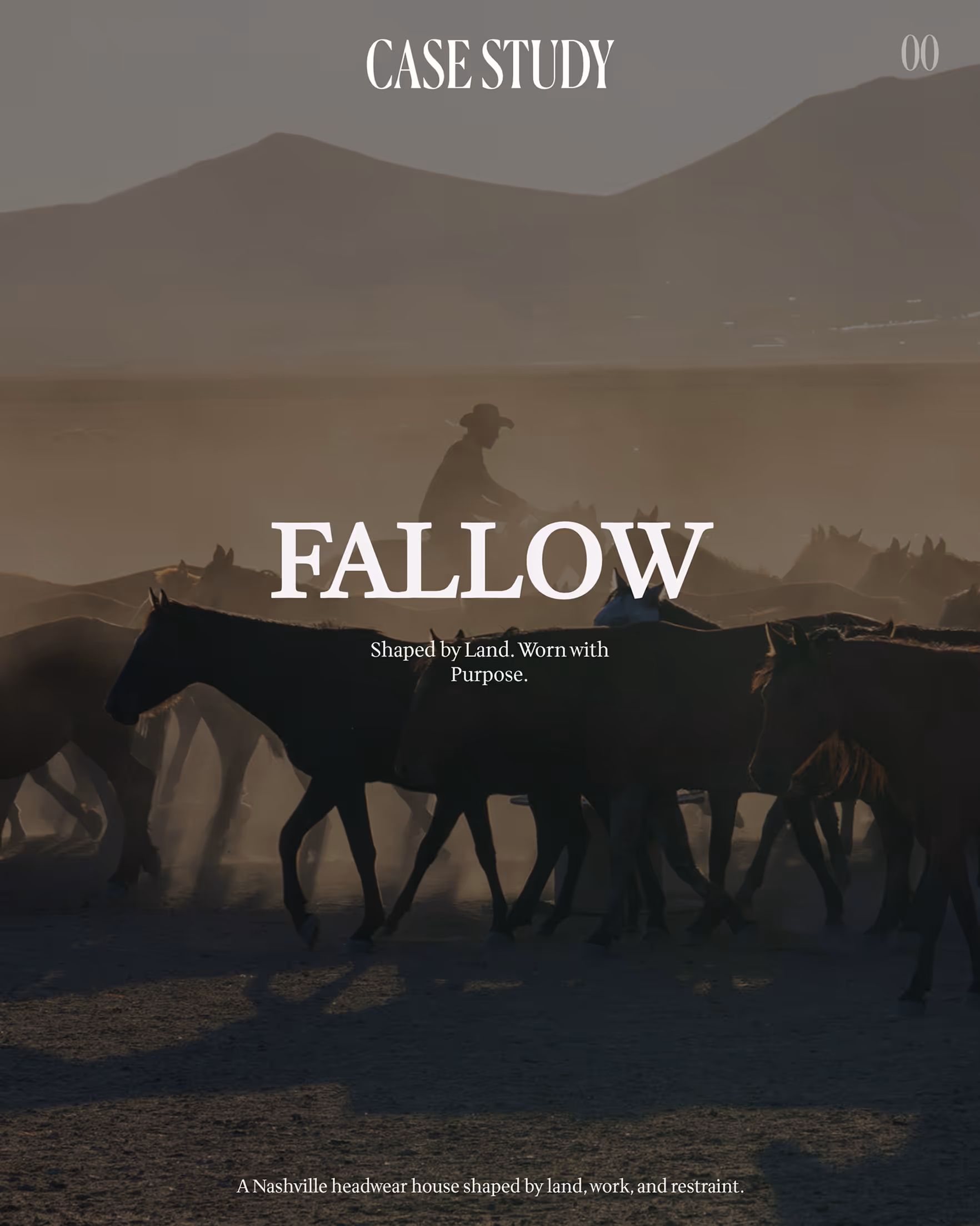 FrshlyBaked case study — e-commerce or service site design
